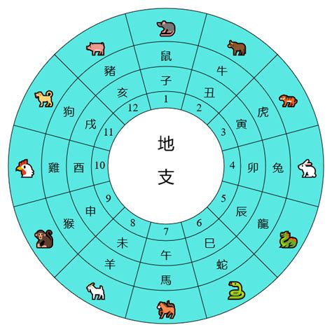 干支是什麼|《天干地支》對照表及運用方法